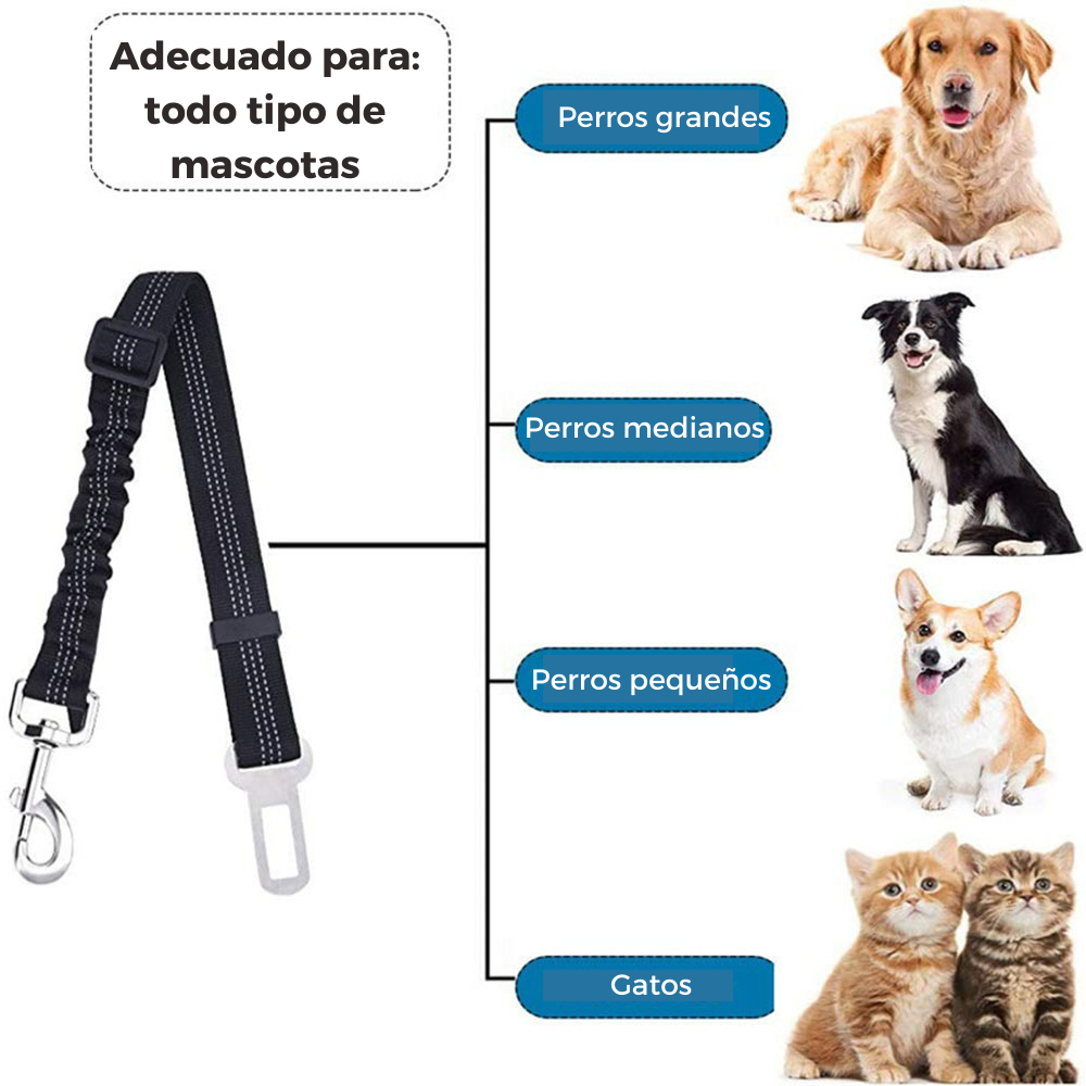 CINTURON DE SEGURIDAD PARA PERROS