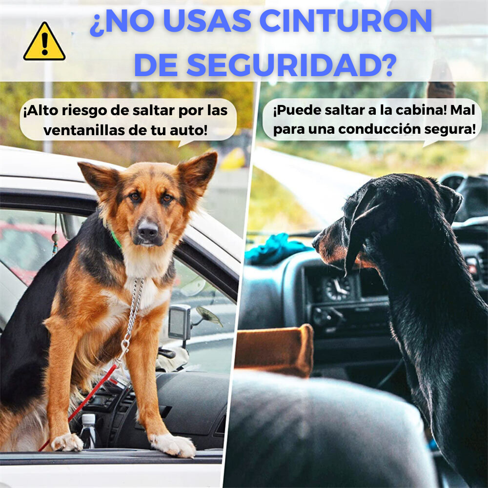 CINTURON DE SEGURIDAD PARA PERROS